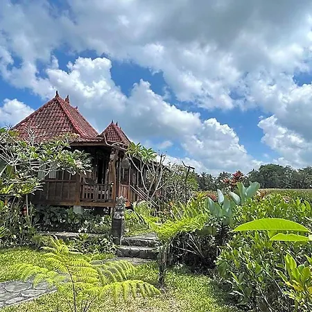 Sirya Farm House