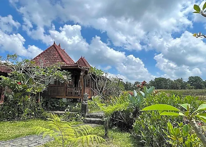 Sirya *